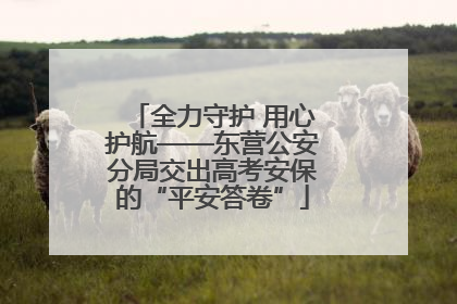 全力守护 用心护航——东营公安分局交出高考安保的“平安答卷”