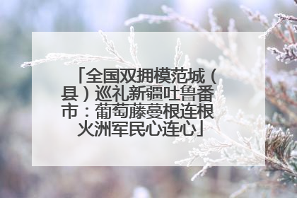 全国双拥模范城（县）巡礼新疆吐鲁番市：葡萄藤蔓根连根 火洲军民心连心