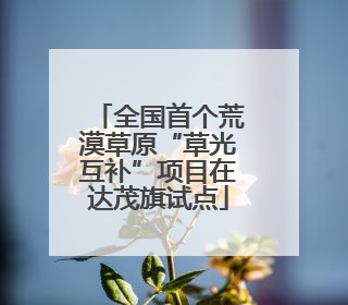 全国首个荒漠草原“草光互补”项目在达茂旗试点