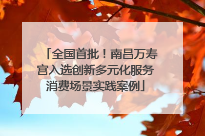 全国首批！南昌万寿宫入选创新多元化服务消费场景实践案例