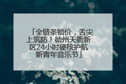 全链条锁价，舌尖上筑防！德州天衢新区24小时硬核护航新青年音乐节