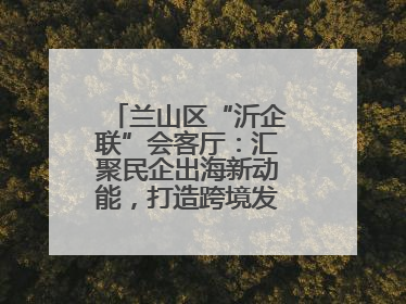 兰山区“沂企联”会客厅：汇聚民企出海新动能，打造跨境发展“强磁场”