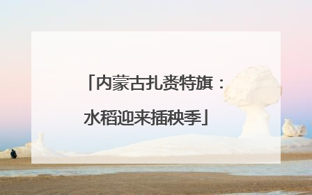 内蒙古扎赉特旗：水稻迎来插秧季