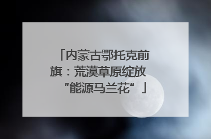 内蒙古鄂托克前旗：荒漠草原绽放“能源马兰花”