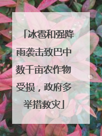 冰雹和强降雨袭击致巴中数千亩农作物受损，政府多举措救灾