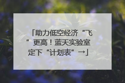 助力低空经济“飞”更高！蓝天实验室定下“计划表”→
