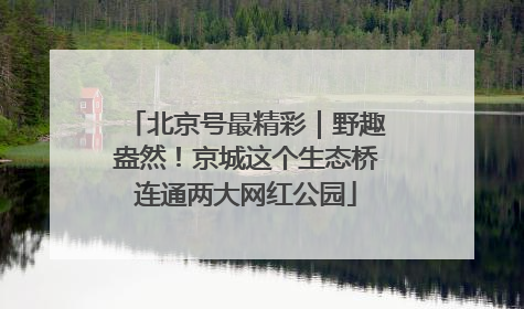 北京号最精彩｜野趣盎然！京城这个生态桥连通两大网红公园