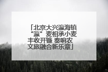 北京大兴瀛海镇“瀛”麦相承小麦丰收开镰 奏响农文旅融合新乐章