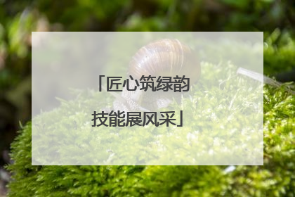 匠心筑绿韵 技能展风采