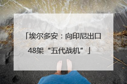 埃尔多安：向印尼出口48架“五代战机”