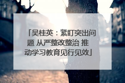 吴桂英：紧盯突出问题 从严整改整治 推动学习教育见行见效