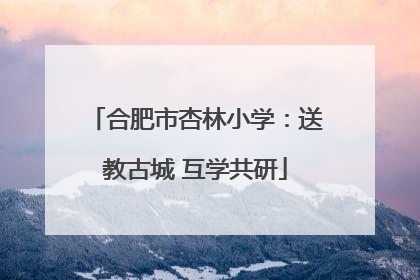 合肥市杏林小学：送教古城 互学共研