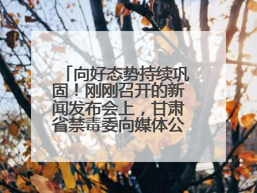 向好态势持续巩固！刚刚召开的新闻发布会上，甘肃省禁毒委向媒体公布三年禁毒工作“成绩单”