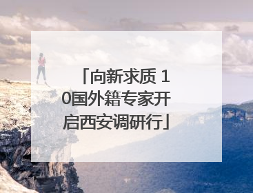向新求质 10国外籍专家开启西安调研行