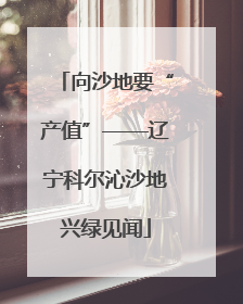 向沙地要“产值”——辽宁科尔沁沙地兴绿见闻