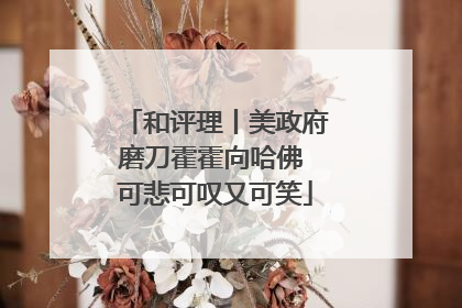 和评理丨美政府磨刀霍霍向哈佛 可悲可叹又可笑