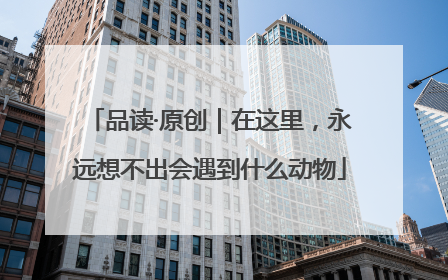 品读·原创｜在这里，永远想不出会遇到什么动物