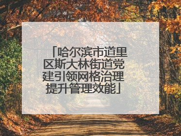 哈尔滨市道里区斯大林街道党建引领网格治理提升管理效能