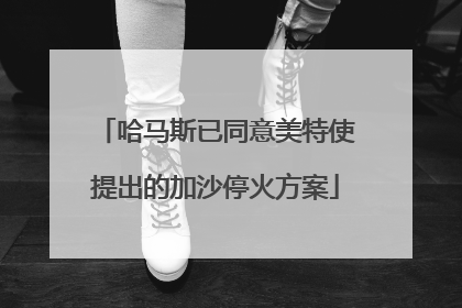 哈马斯已同意美特使提出的加沙停火方案