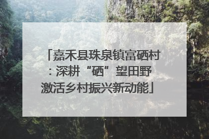 嘉禾县珠泉镇富硒村：深耕“硒”望田野 激活乡村振兴新动能
