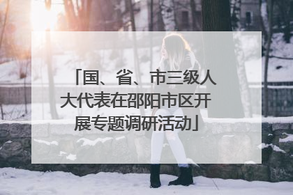 国、省、市三级人大代表在邵阳市区开展专题调研活动