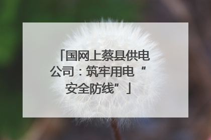 国网上蔡县供电公司：筑牢用电“安全防线”