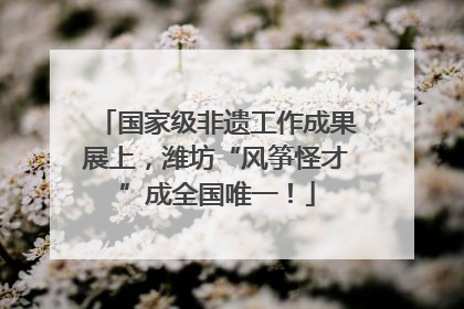 国家级非遗工作成果展上，潍坊“风筝怪才”成全国唯一！