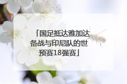 国足抵达雅加达备战与印尼队的世预赛18强赛