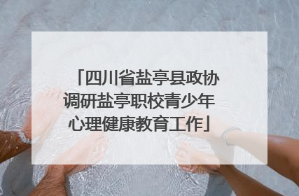 四川省盐亭县政协调研盐亭职校青少年心理健康教育工作