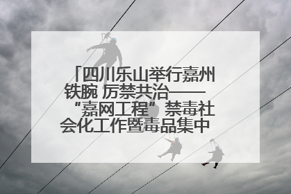 四川乐山举行嘉州铁腕 厉禁共治——“嘉网工程”禁毒社会化工作暨毒品集中销毁启动仪式