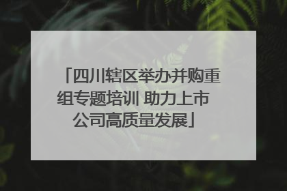 四川辖区举办并购重组专题培训 助力上市公司高质量发展