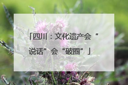 四川：文化遗产会“说话”会“破圈”