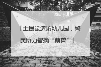 土拨鼠造访幼儿园，警民协力智擒“萌兽”