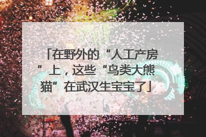在野外的“人工产房”上，这些“鸟类大熊猫”在武汉生宝宝了