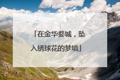 在金华婺城，坠入绣球花的梦境