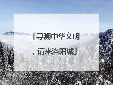 寻溯中华文明，请来洛阳城
