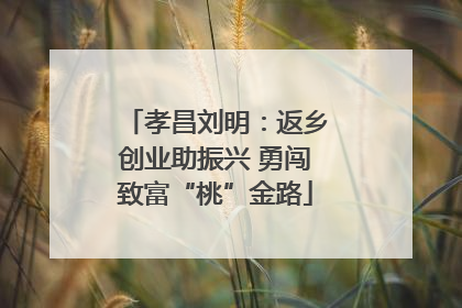 孝昌刘明：返乡创业助振兴 勇闯致富“桃”金路