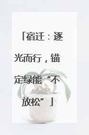 宿迁：逐光而行，锚定绿能“不放松”