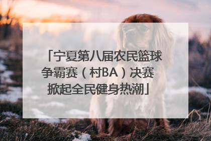 宁夏第八届农民篮球争霸赛（村BA）决赛掀起全民健身热潮