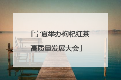 宁夏举办枸杞红茶高质量发展大会