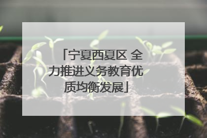 宁夏西夏区 全力推进义务教育优质均衡发展