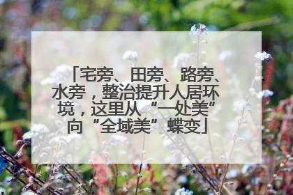 宅旁、田旁、路旁、水旁，整治提升人居环境，这里从“一处美”向“全域美”蝶变