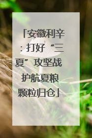 安徽利辛：打好“三夏”攻坚战 护航夏粮颗粒归仓