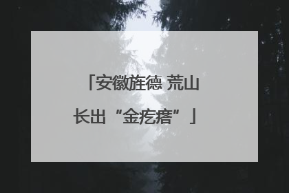 安徽旌德 荒山长出“金疙瘩”