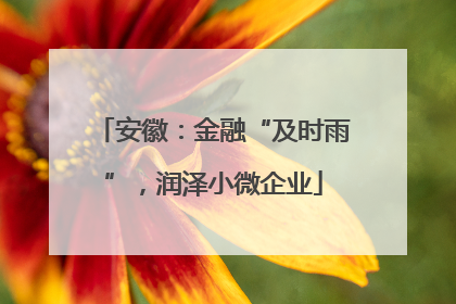 安徽：金融“及时雨”，润泽小微企业