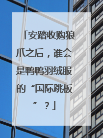 安踏收购狼爪之后，谁会是鸭鸭羽绒服的“国际跳板”？