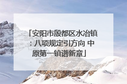 安阳市殷都区水冶镇：八项规定引方向 中原第一镇谱新章