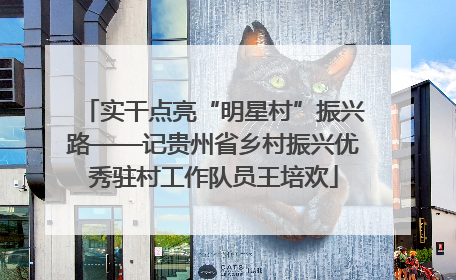 实干点亮“明星村”振兴路——记贵州省乡村振兴优秀驻村工作队员王培欢