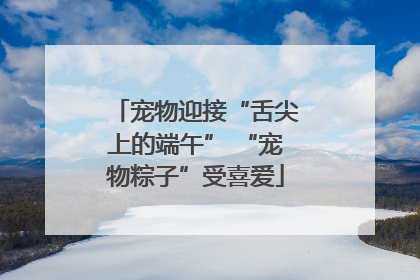 宠物迎接“舌尖上的端午” “宠物粽子”受喜爱