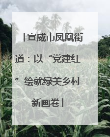 宣威市凤凰街道：以“党建红”绘就绿美乡村新画卷